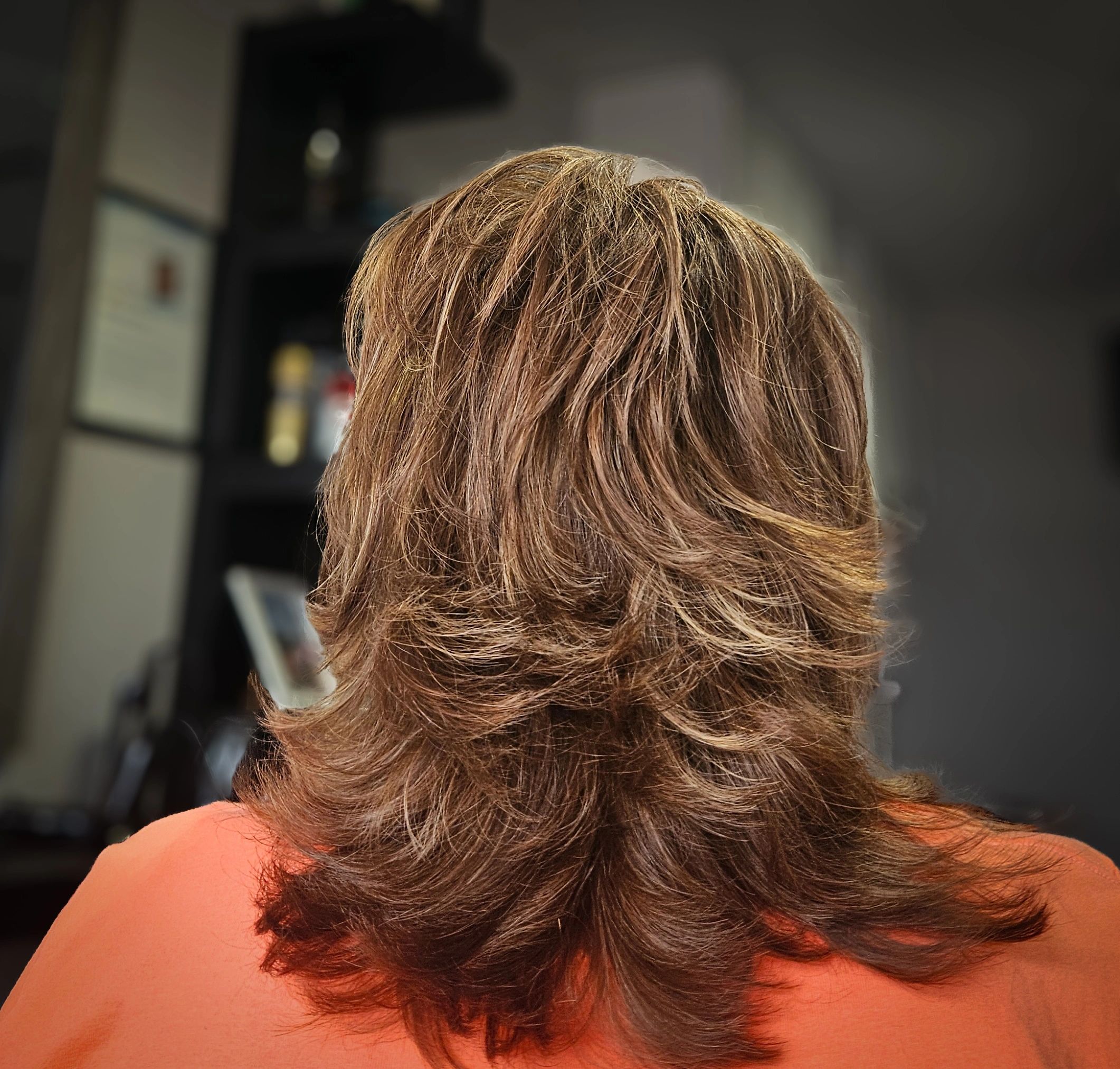 Layered brown hair with highlights
